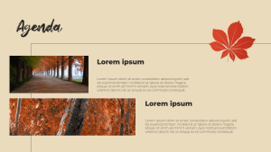 autumn ppt template aesthetic_3