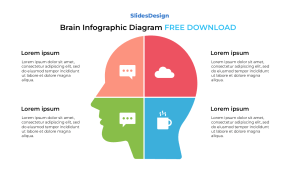 brain infographic diagram
